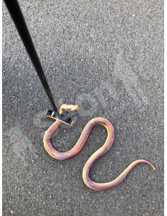 Poche Serpent Grabber La Capture de serpent Crochet
