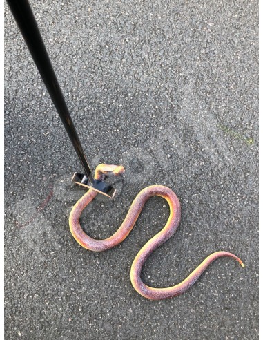 Cergrey Crochet de capture de capture de reptile de serpent