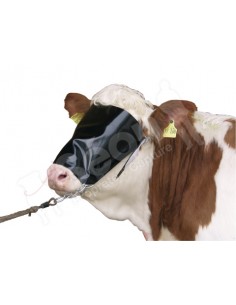 oeillere pour bovins