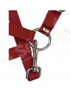 Licol équidé standard 2