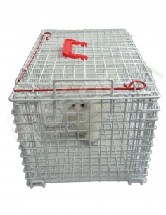 Cage De Convalescence Pour Chats Cage De Sejours Chats Cage Trabsport Chats
