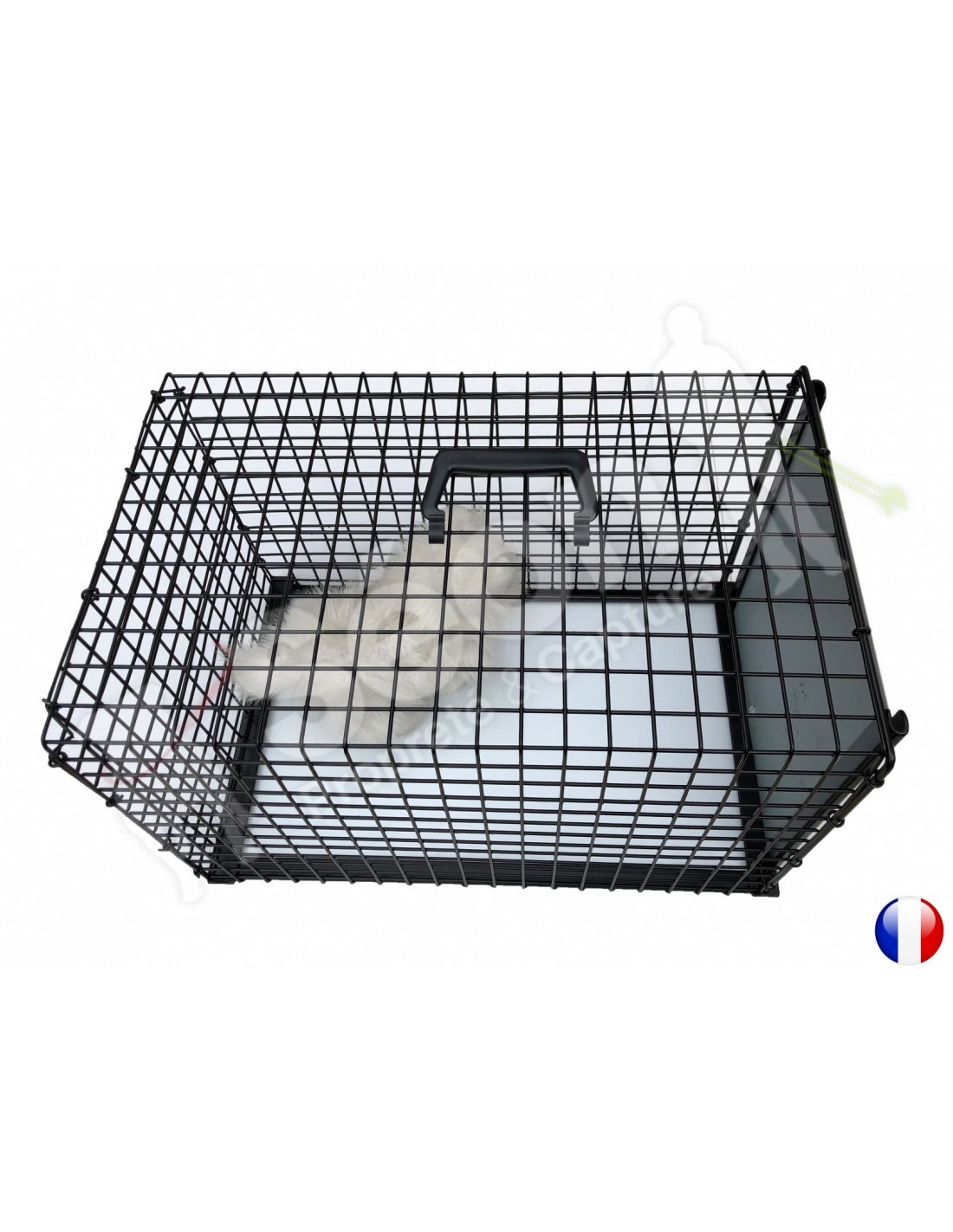 Cage de trappe chat au meilleur prix