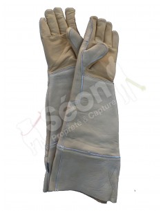 gants anti morsures