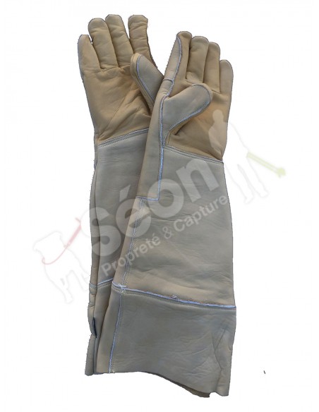 gants anti morsures