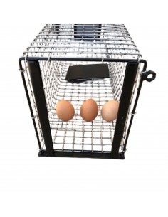 Piege a fouines, trappe a fouine, boite a fouine, boite a fauve 2