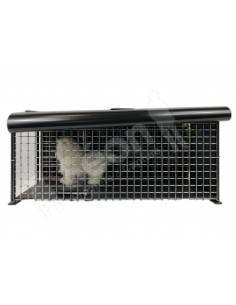 couverture trappe chats 2