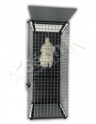 Trappe De Capture Chats Boite A Fauves Pour Capturer Les Chats Errants Trappe De Capture Chats Boite A Fauves Pour Capturer Les Chats Errants