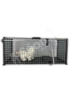 Cage De Convalescence Pour Chats Cage De Sejours Chats Cage Trabsport Chats Cage De Convalescence Pour Chats Cage De Sejours Chats Cage Trabsport Chats