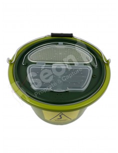 transport des reptiles 2