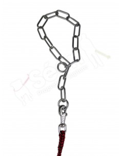 COLLIER ETRANGLEUR CHIEN 2