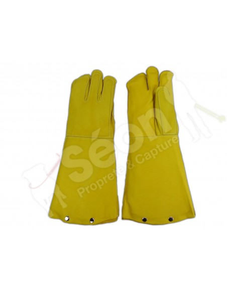 gants anti morsures