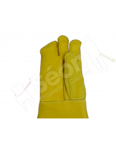 gants protection chiens agressifs