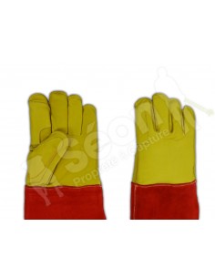 gants anti morsures 2