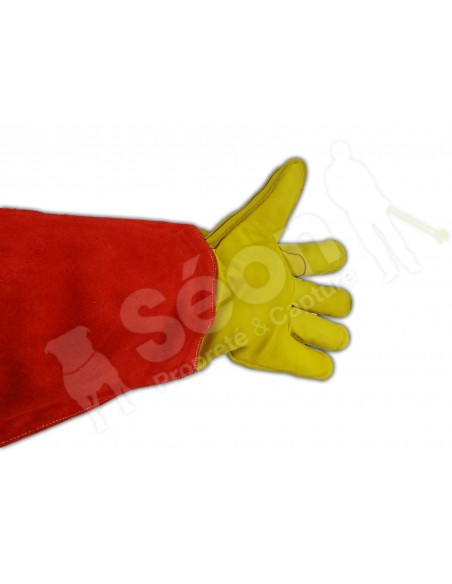 gants  de protection animaux