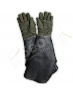 gants de capture chiens